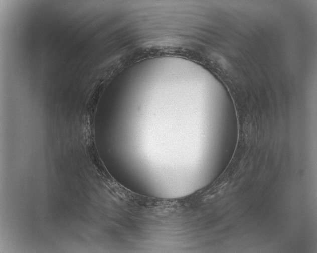 X0000071781062200607150049