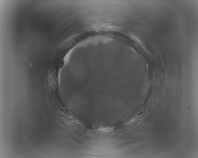 X0000071781063200607150049