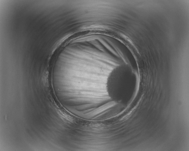 X0000071781066200607150049