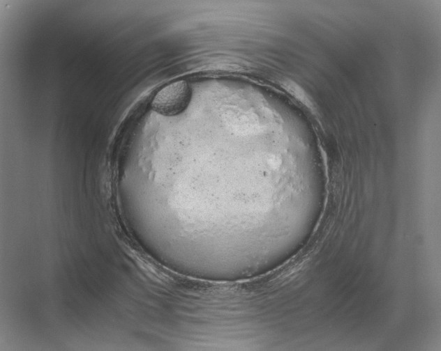 X0000071781067200607150049