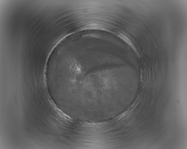 X0000071781068200607150049