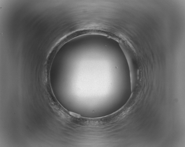 X0000071781069200607150049