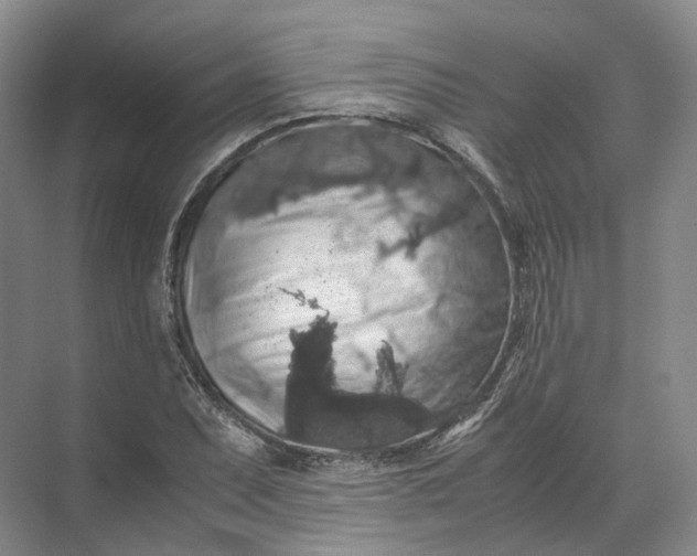 X0000071781071200607150049