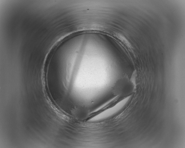 X0000071781072200607150049