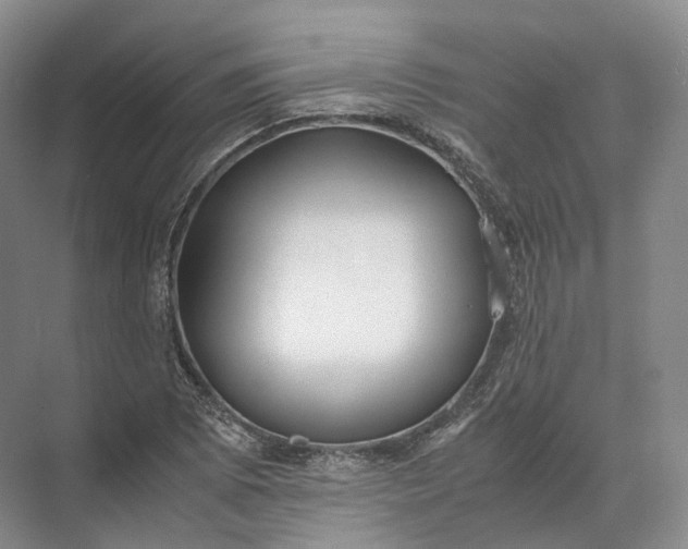 X0000071781073200607150049