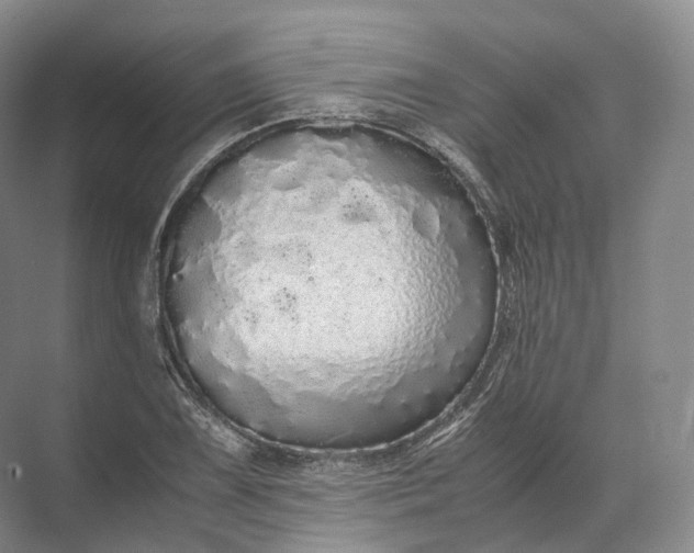 X0000071781075200607150049