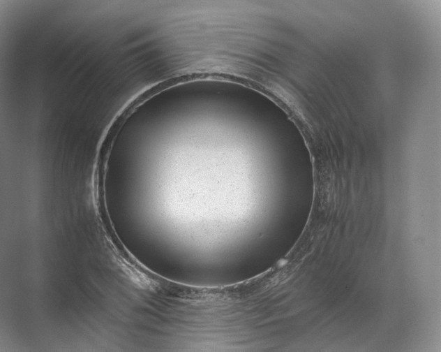 X0000071781076200607150049