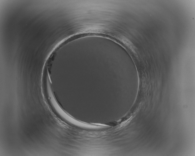 X0000071781077200607150049