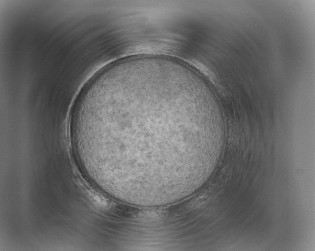 X0000071781078200607150049