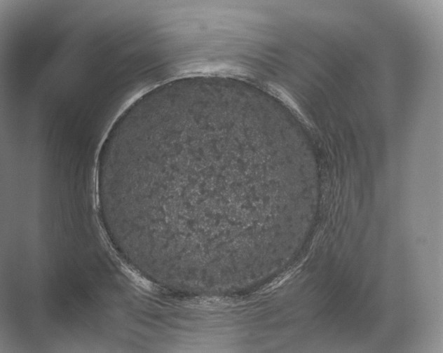 X0000071781079200607150049