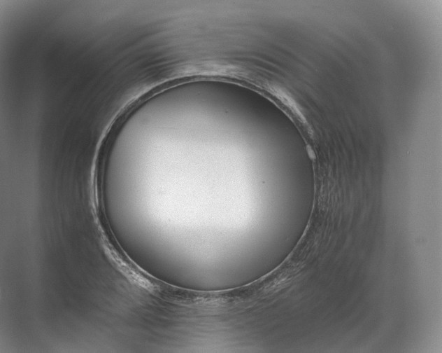 X0000071781080200607150049