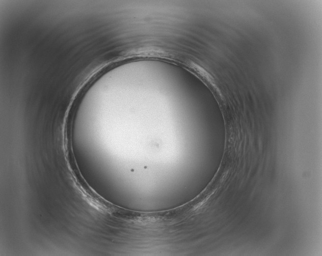 X0000071781082200607150049