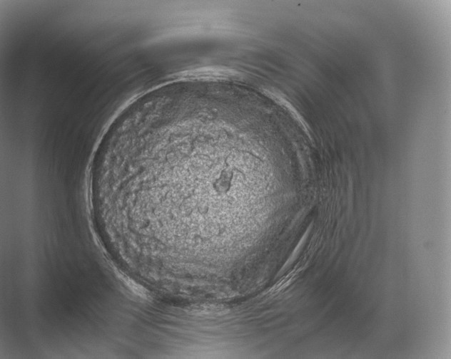 X0000071781083200607150049