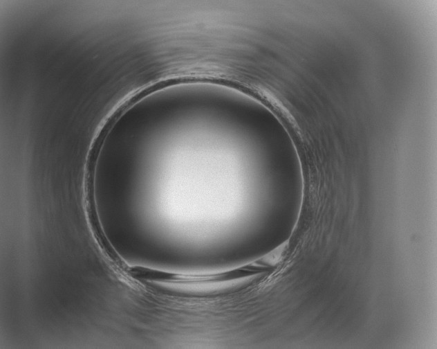 X0000071781085200607150049