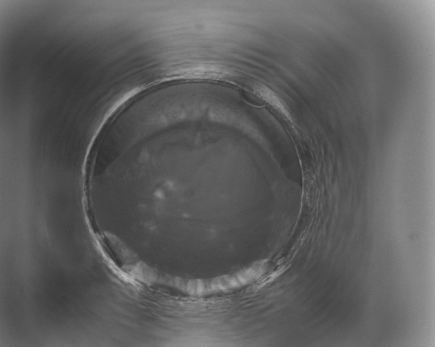 X0000071781087200607150049