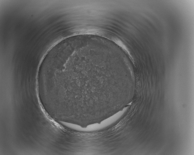 X0000071781088200607150048