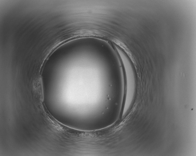 X0000071781089200607150048