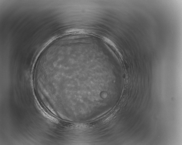 X0000071781090200607150048