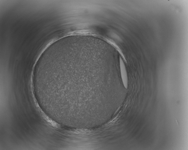 X0000071781091200607150048