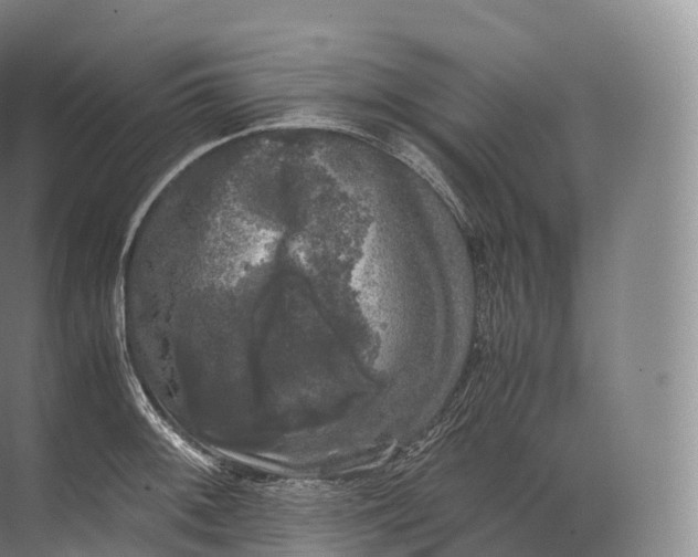 X0000071781092200607150048