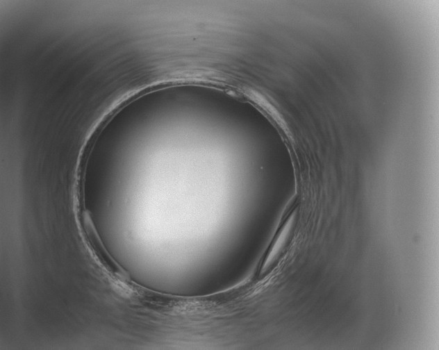 X0000071781093200607150048