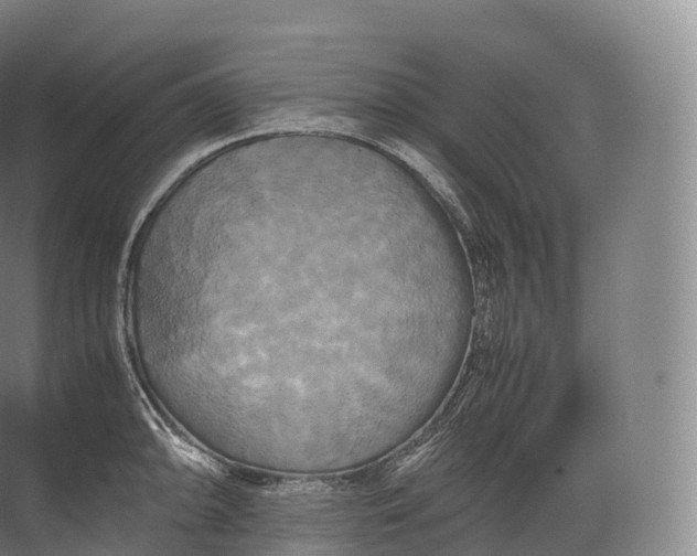 X0000071781094200607150048