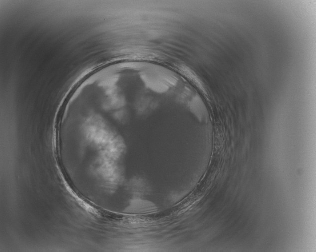 X0000071781095200607150048