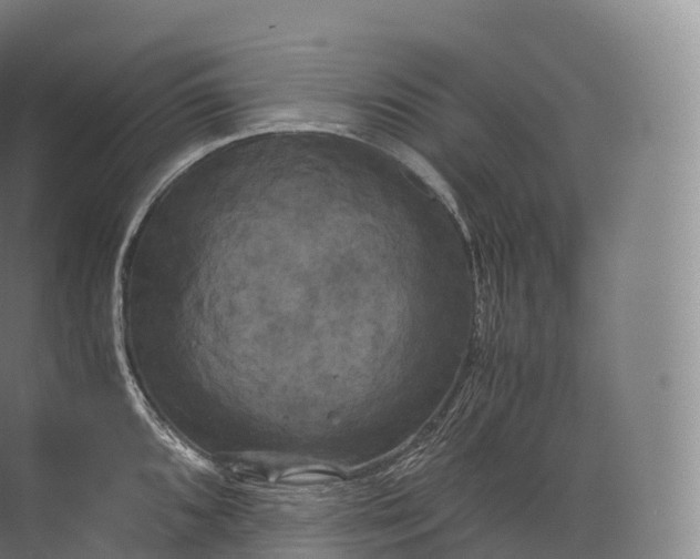 X0000071781096200607150048