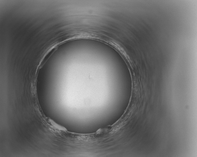 X0000071781097200607150048