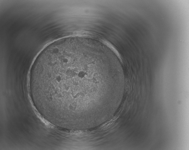 X0000071781099200607150048