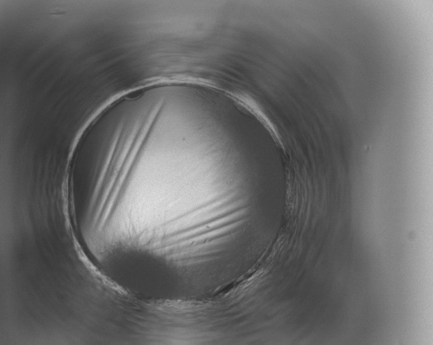 X0000071781100200607150048