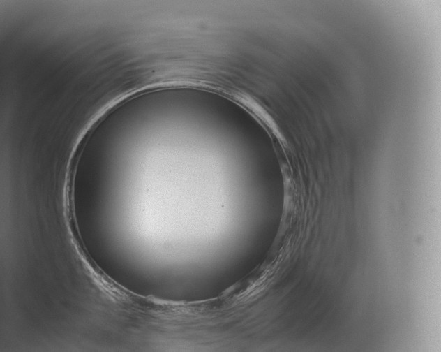 X0000071781101200607150048