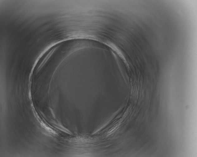 X0000071781102200607150048