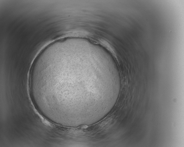 X0000071781103200607150048