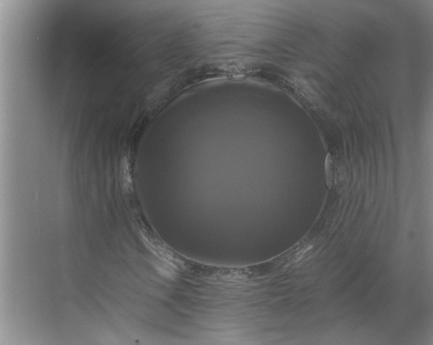 X0000071781106200607150047