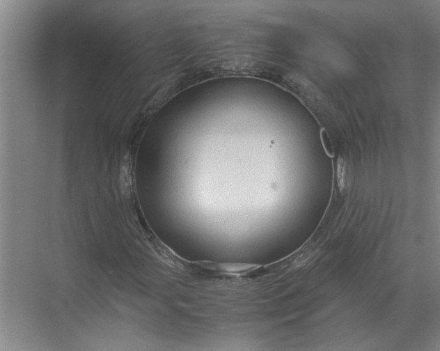 X0000071781107200607150047