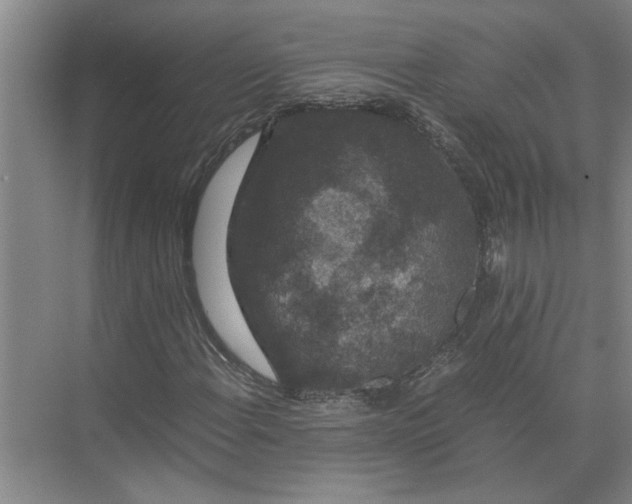 X0000071781108200607150047