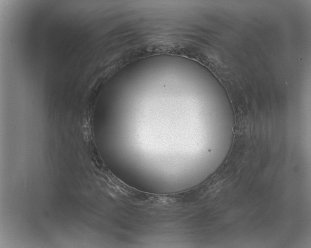 X0000071781109200607150047