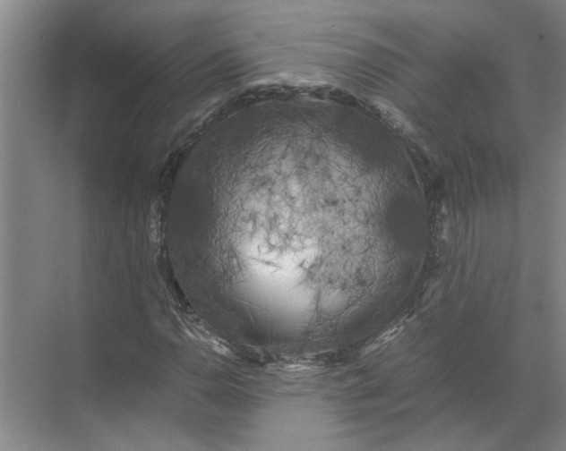 X0000071781110200607150047