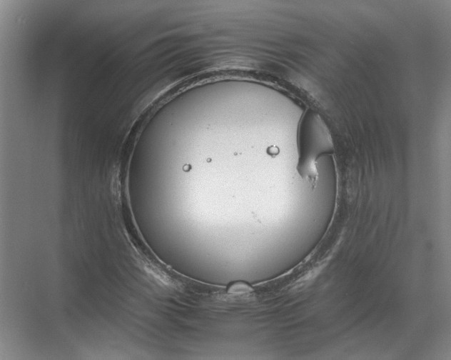 X0000071781113200607150048