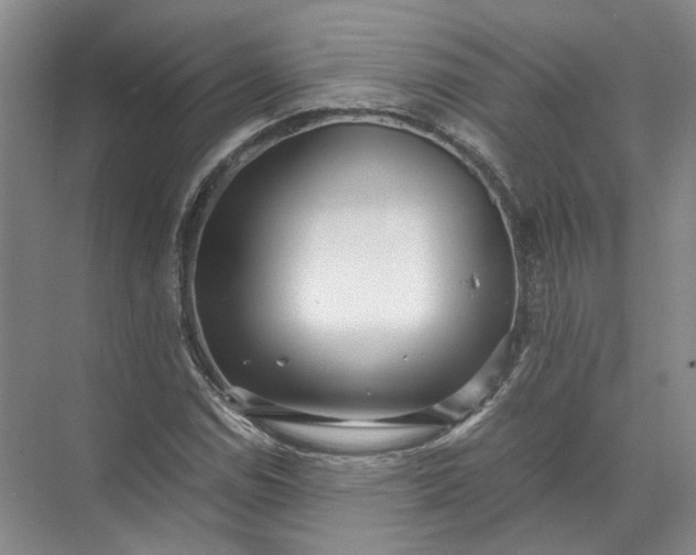 X0000071781114200607150048