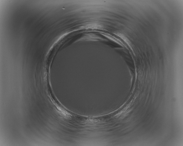 X0000071781115200607150048