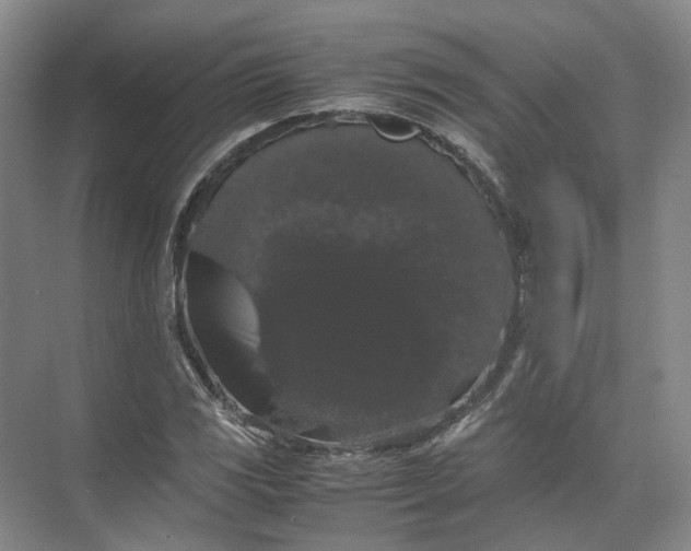 X0000071781117200607150048