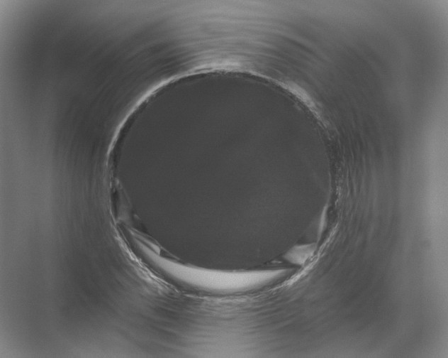 X0000071781118200607150048