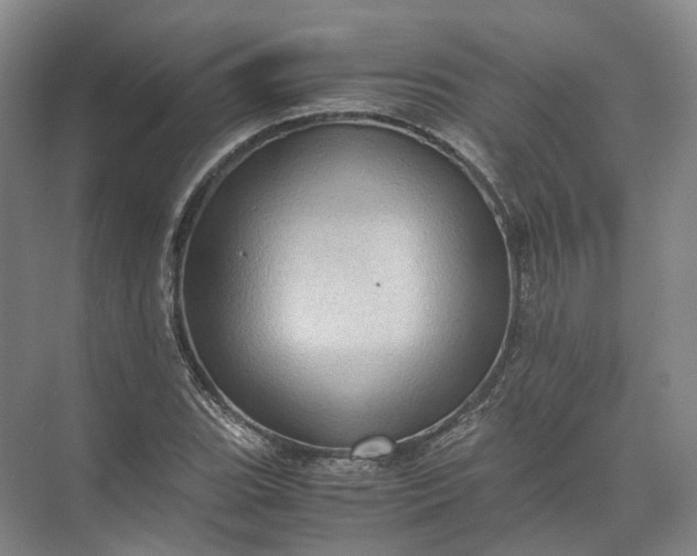 X0000071781119200607150048