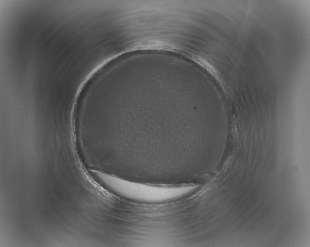 X0000071781120200607150048