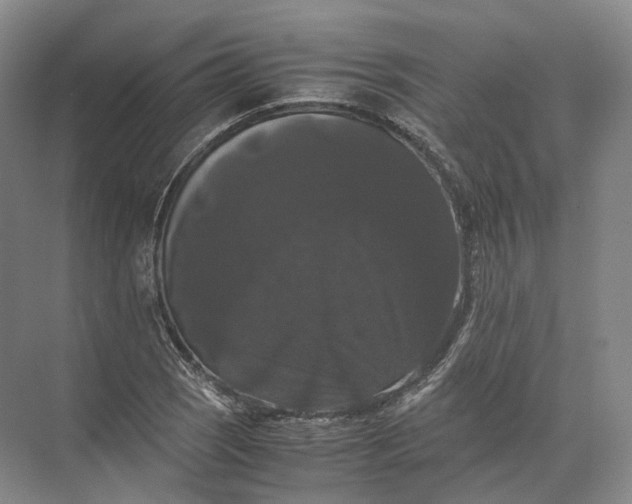 X0000071781121200607150048