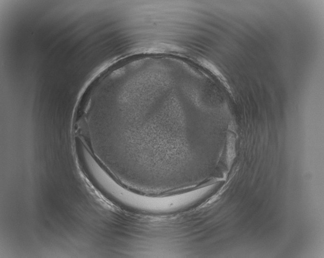 X0000071781122200607150048