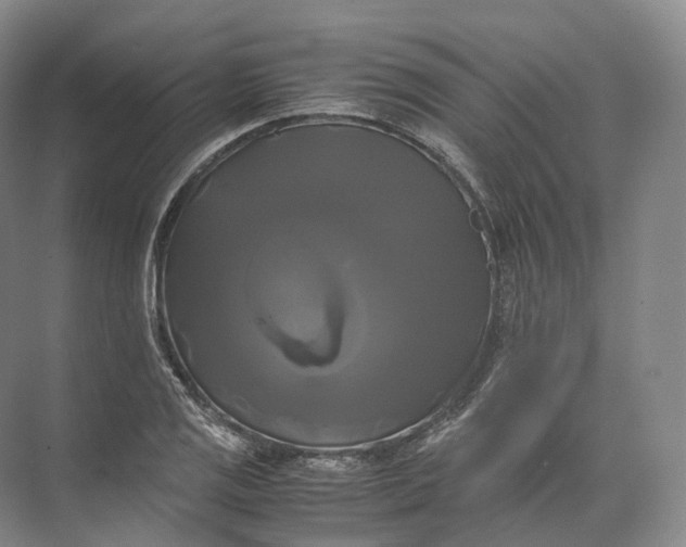 X0000071781125200607150048