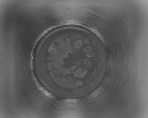 X0000071781126200607150048